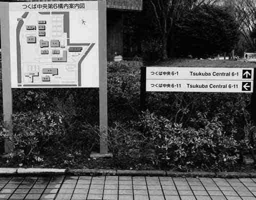 図