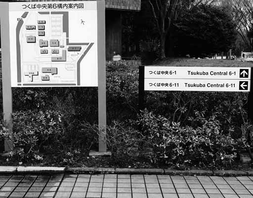図
